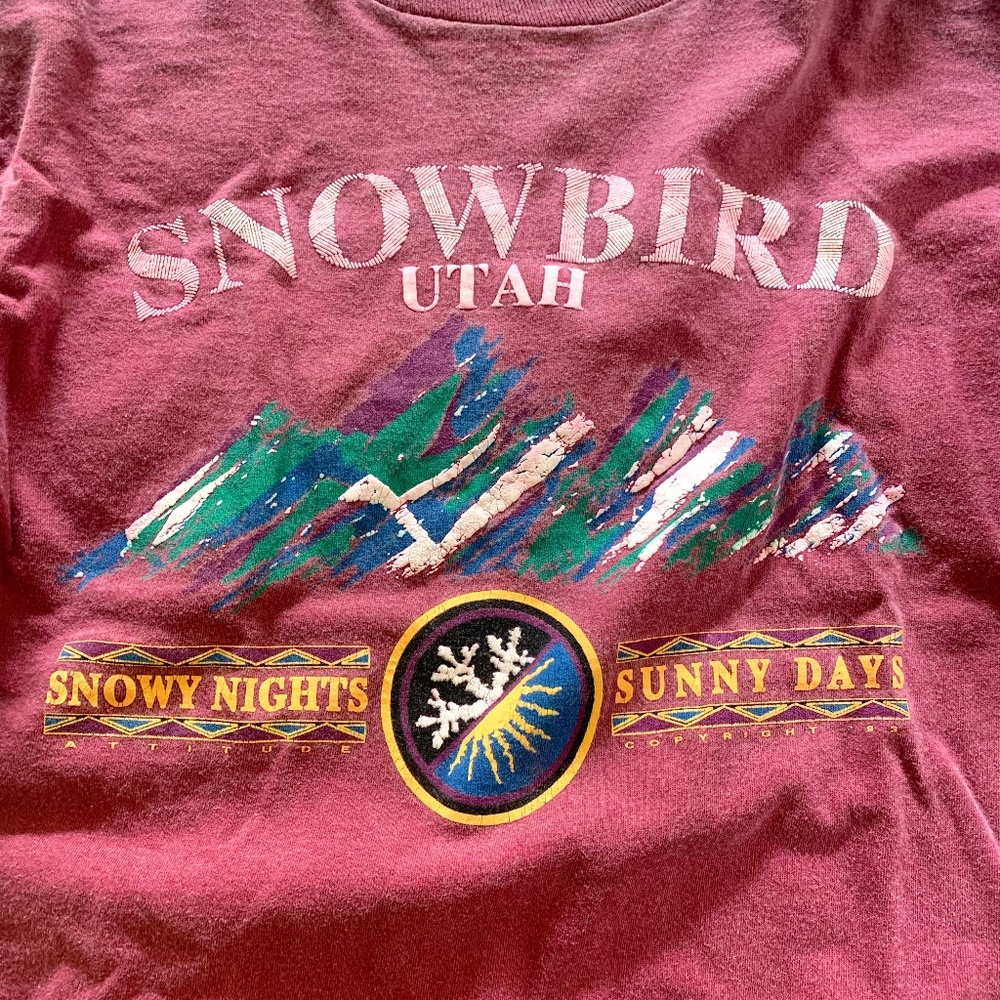 Graphic Tee - Utah Size XL Unisex Snowy nights/Sunny Days